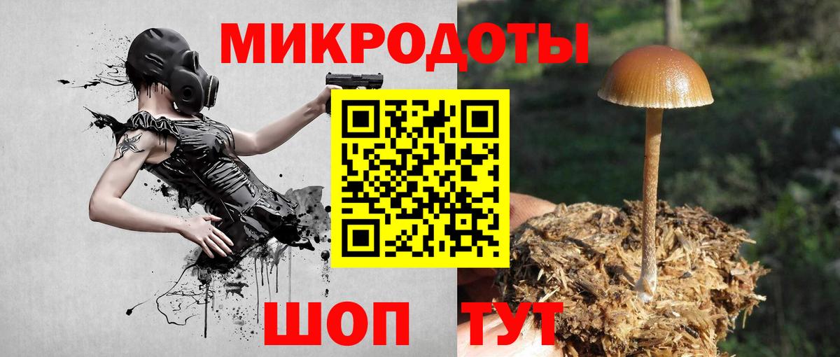 Галлюциногенные грибы мицелий  где продают наркотики  Ирбит  Вход с VPN  Псилоцибиновые грибы GOLDEN TEACHER 
